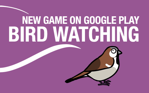 bird watching